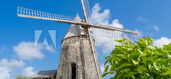 Montout & Associés - Grand Bourg, Marie-Galante